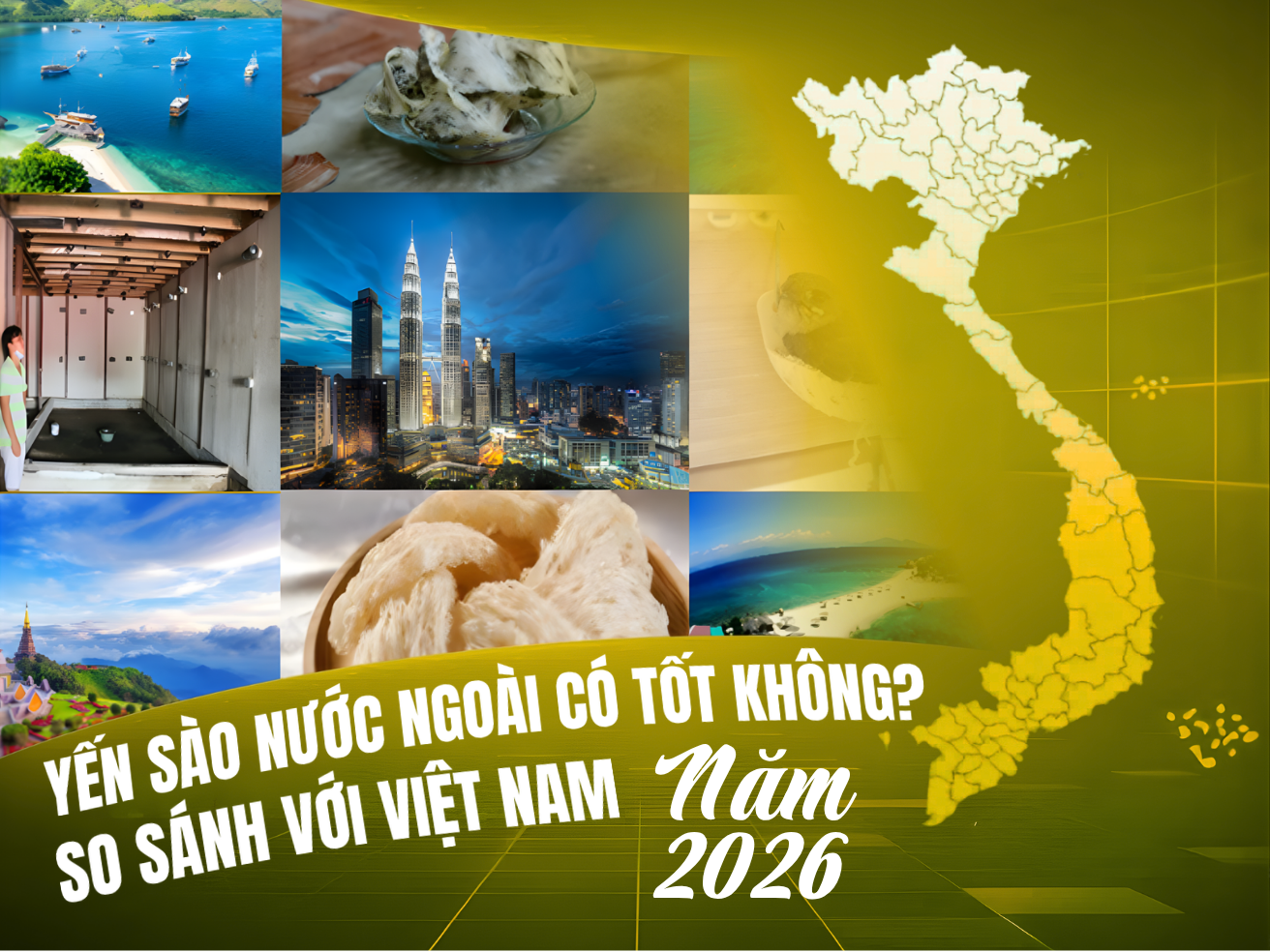 Yến Sào Nước Ngoài Có Tốt Không? So Sánh Với Việt Nam Năm 2026
